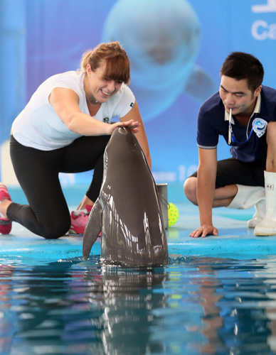 最后一刻仍 最后一刻仍